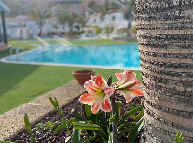 Apartamento Malibu Sun & Relax